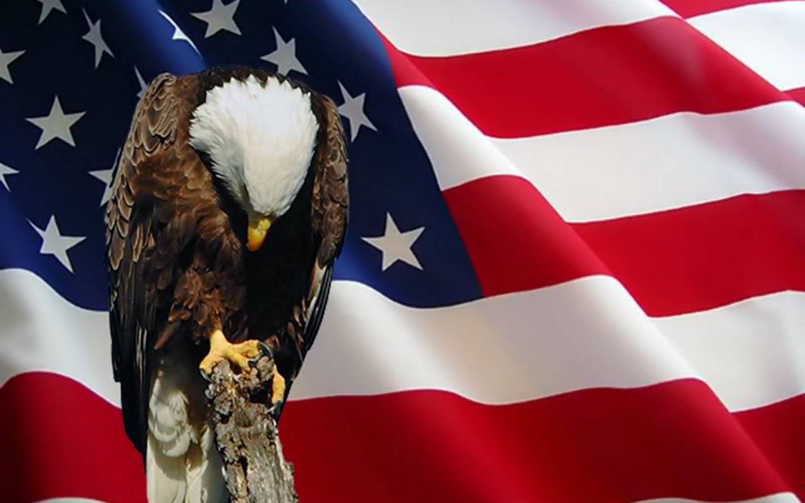 Memorial Day: Home of the free, because of the brave.